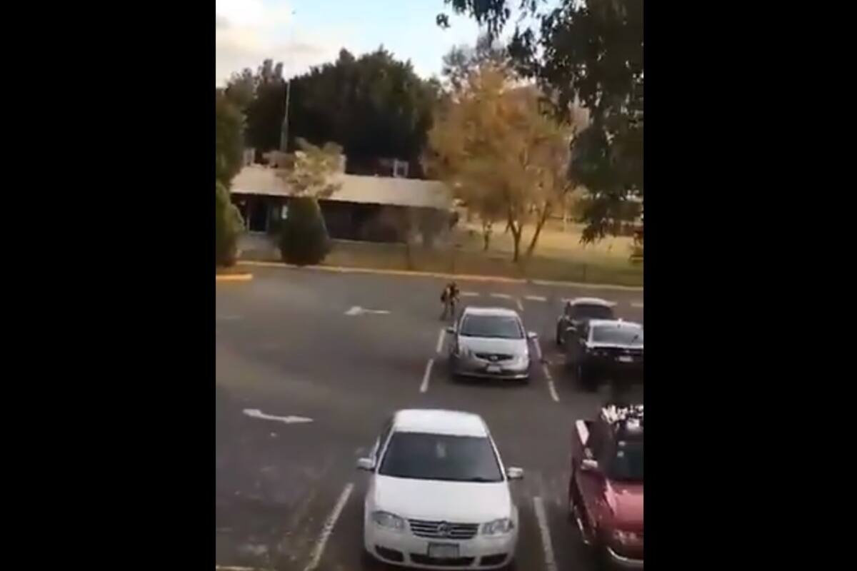 Video: Tiroteo en Universidad Michoacana deja 1 muerto