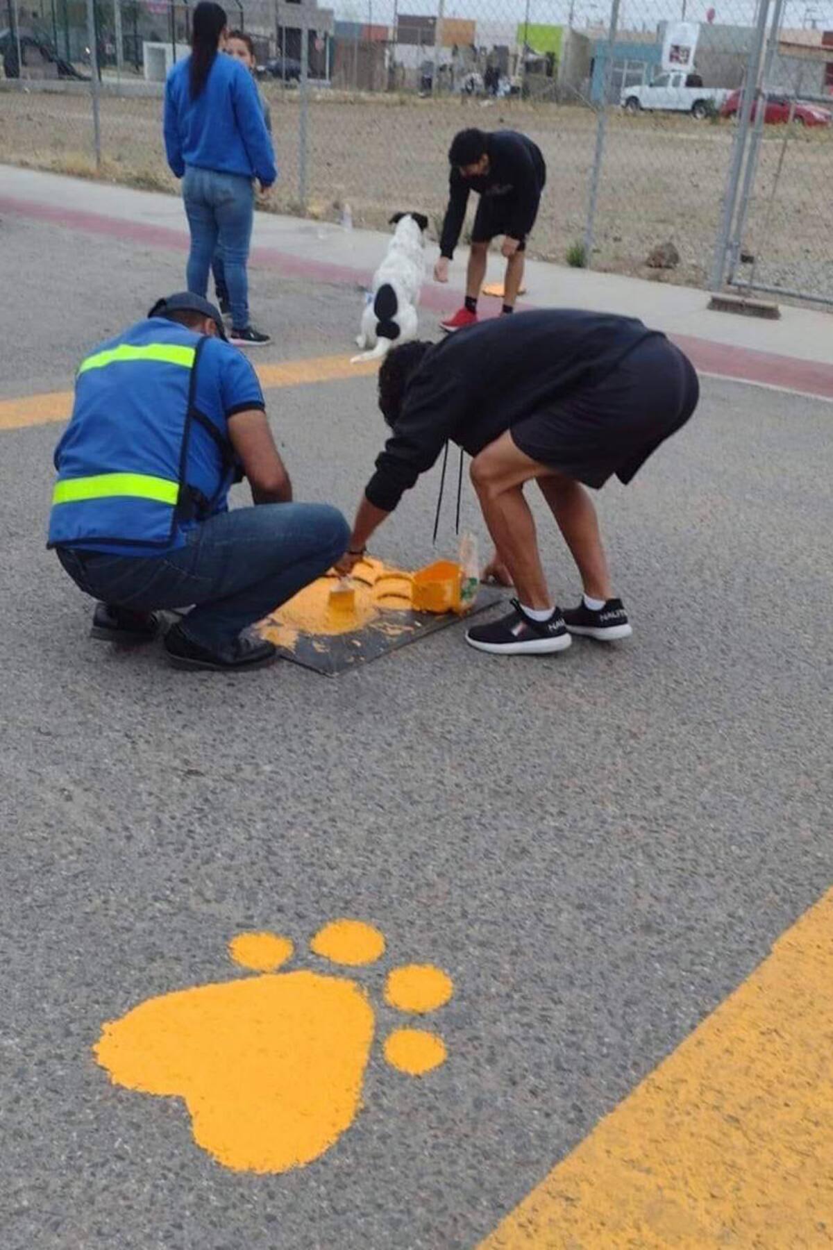 El pasado 21 de julio se celebró el Día del Perro y esta actividad forma parte de los festejos.