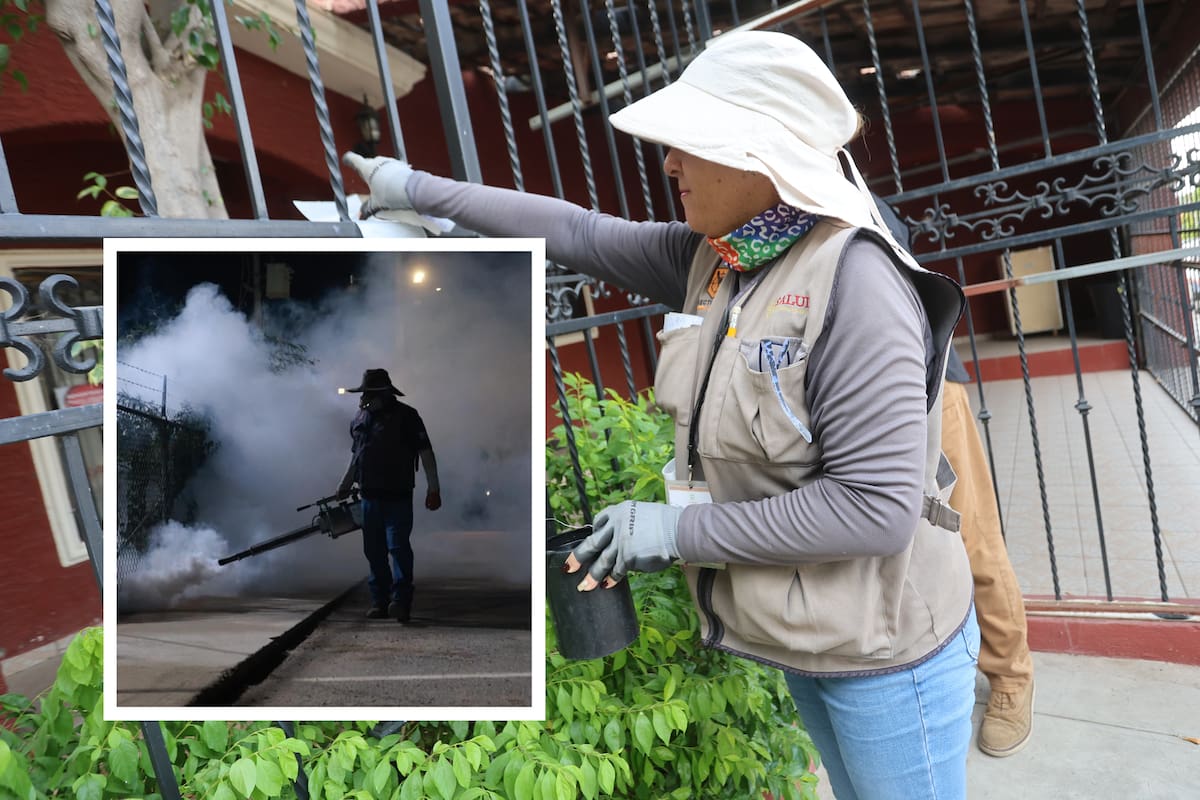 En plena temporada alta de transmisión del dengue, Sonora intensifica acciones de control por brotes en Guaymas, Cajeme y Hermosillo
