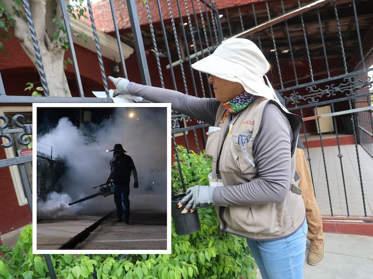 En plena temporada alta de transmisión del dengue, Sonora intensifica acciones de control por brotes en Guaymas, Cajeme y Hermosillo