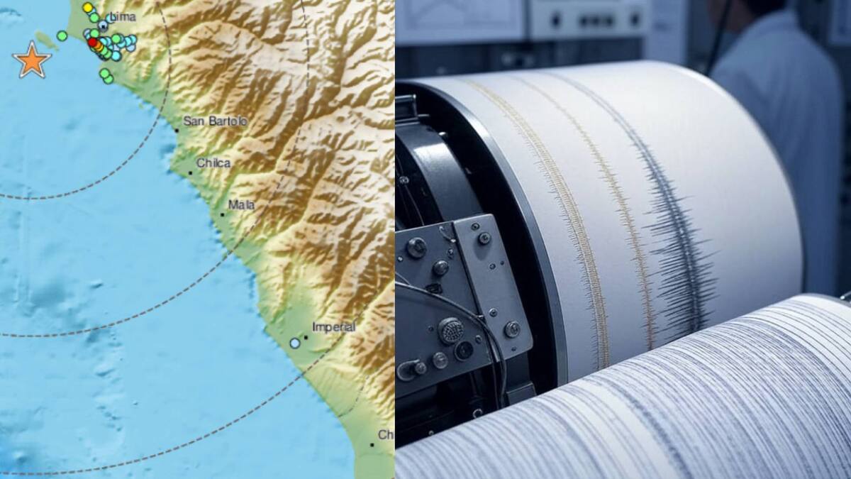 El sismo de hoy generó alarma y algunas afectaciones leves en infraestructura y peatones, pero hasta el momento no se reportan víctimas ni daños mayores. Foto: Capture / Grok.