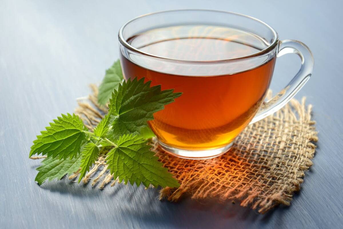 Tés e infusiones que estimulan y mejoran tu metabolismo