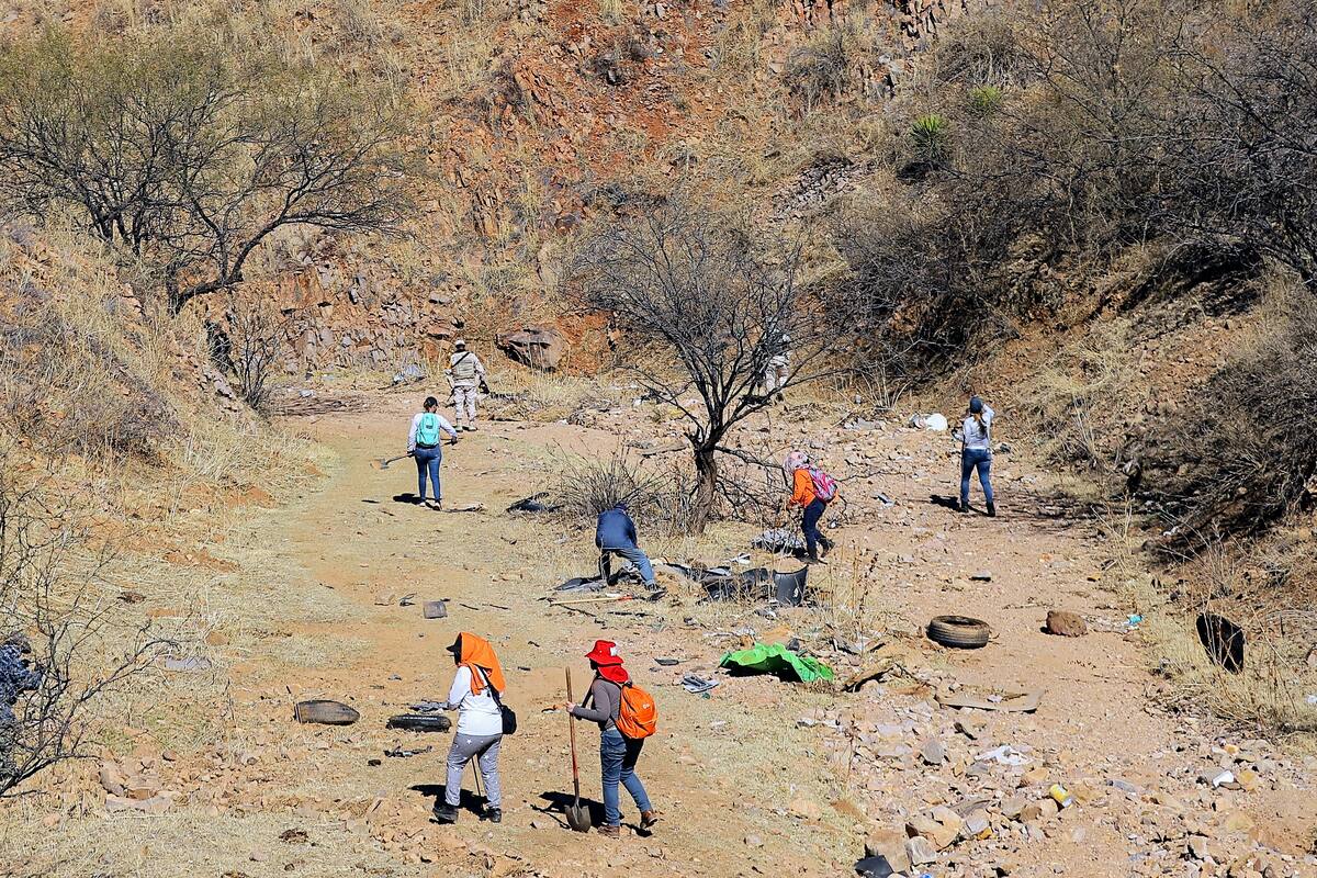 Brigada internacional de búsqueda de desaparecidos: Colectivos crean hermandad que rebasa las fronteras de las naciones