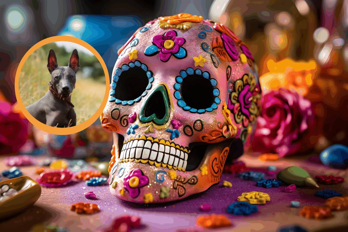 El primer nivel del Mictlán: ¿Cuál es y qué se encuentra en el ?