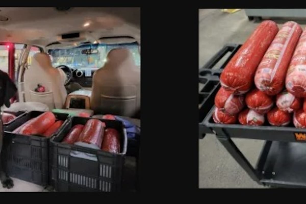 Decomisan 109 kilos de bolonia mexicana en aduana de El Paso