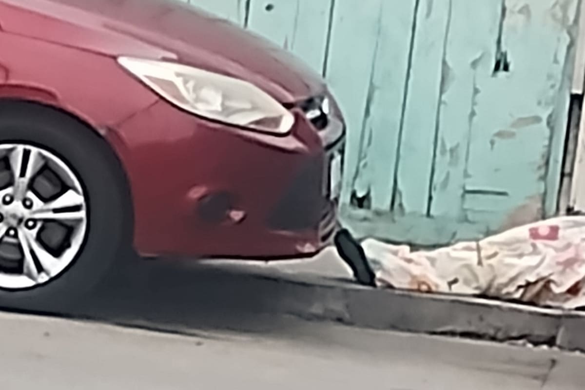 Abandonan cadáver de mujer encobijado en la Zona Centro