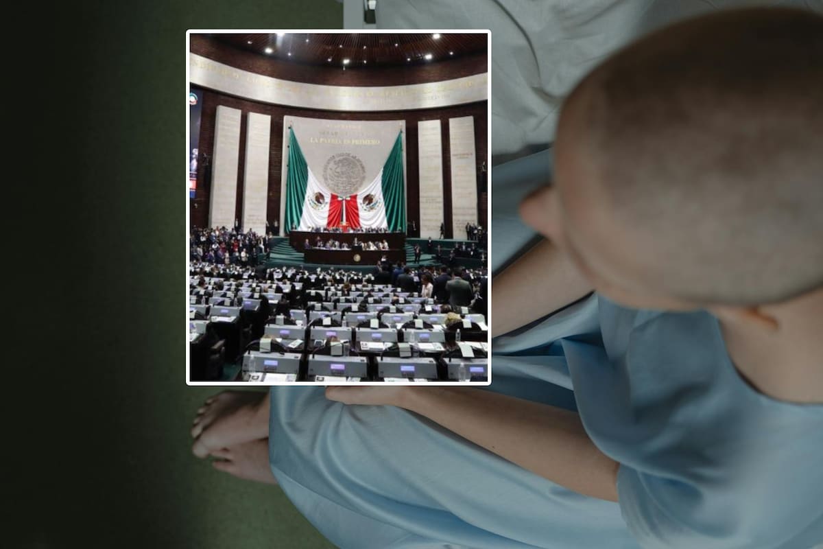 ¿Qué pasó con la reforma sobre medicamentos para pacientes con cáncer en la Cámara de Diputados?