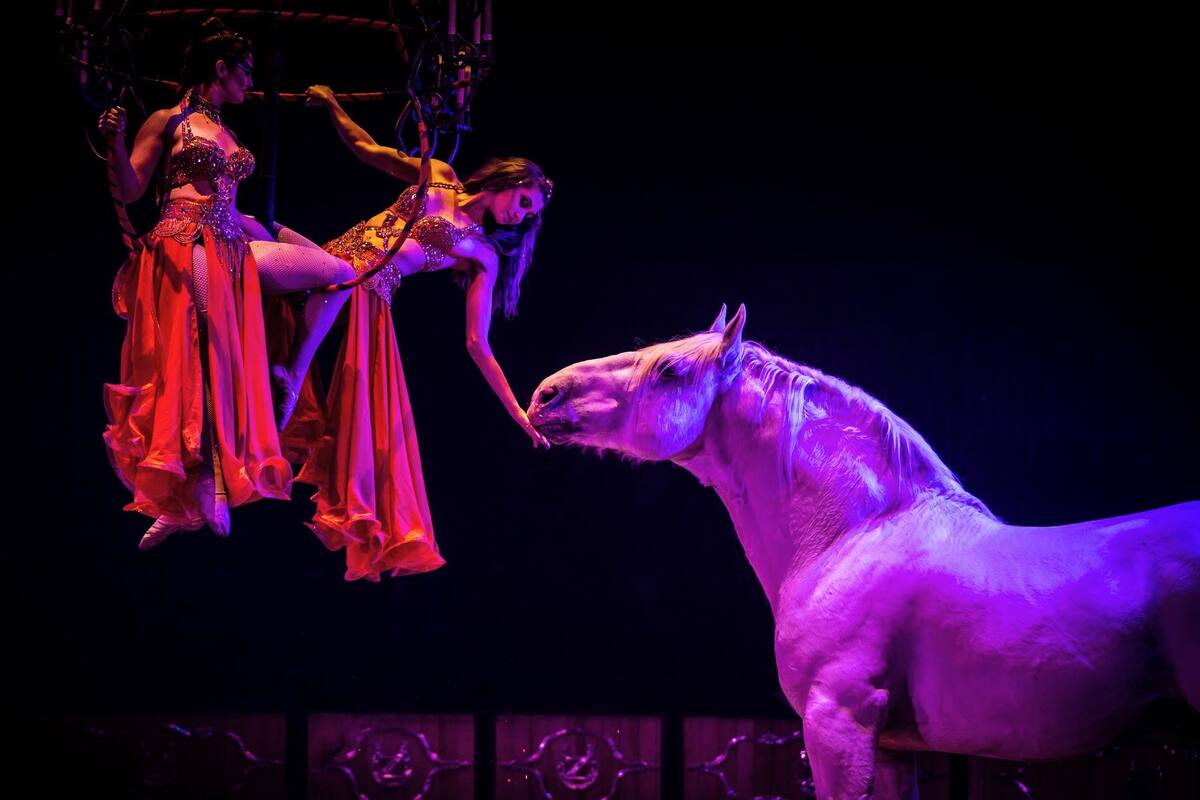 Experimenta la magia en Prescott