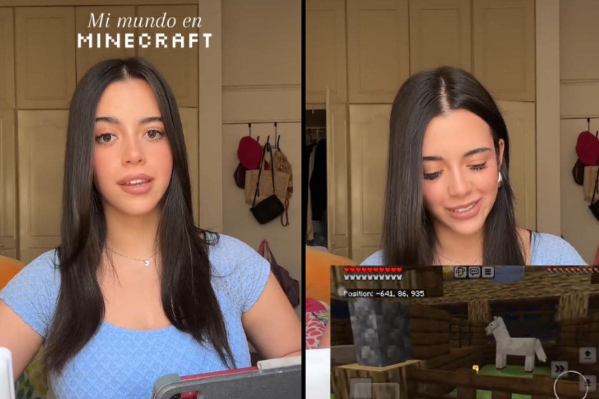 Mujer muestra cómo creó su “mundo de supervivencia” en Minecraft y se hace viral
