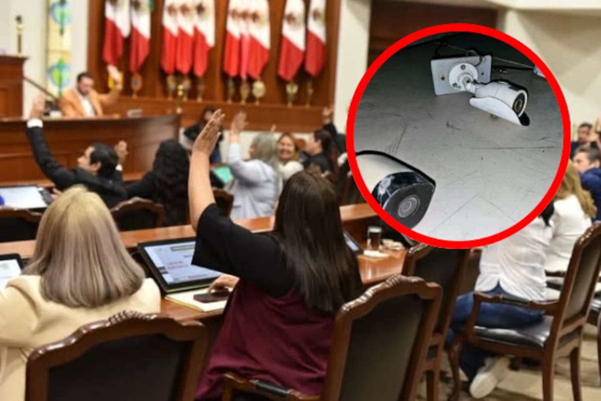 Sinaloa endurece medidas contra el “halconeo”: entra en vigor reforma al Código Penal