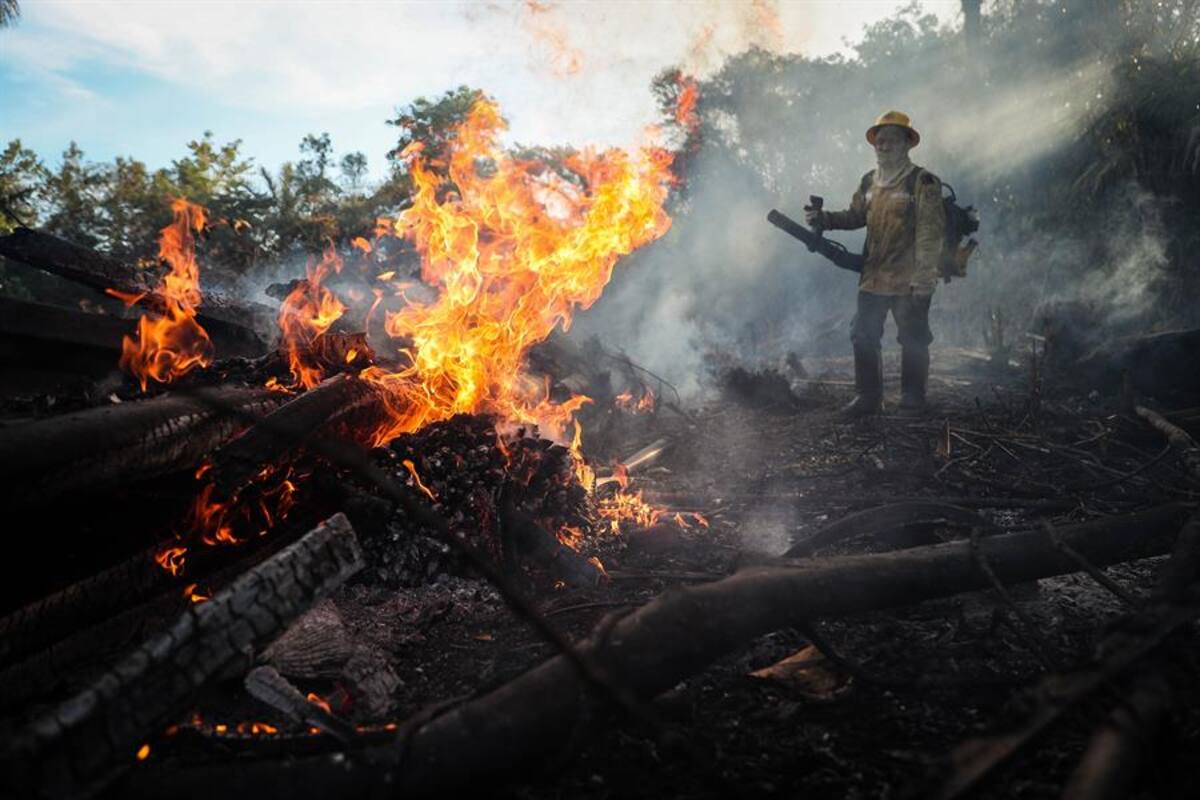 Los incendios vuelven a amenazar la Amazonía brasileña tras disparar en julio