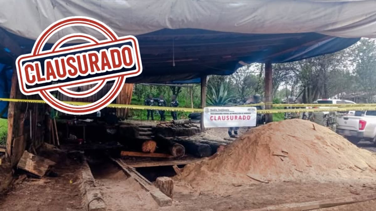 Clausuran dos aserraderos y una carpintería clandestinos en Xalatlaco: almacenaban madera de tala ilegal