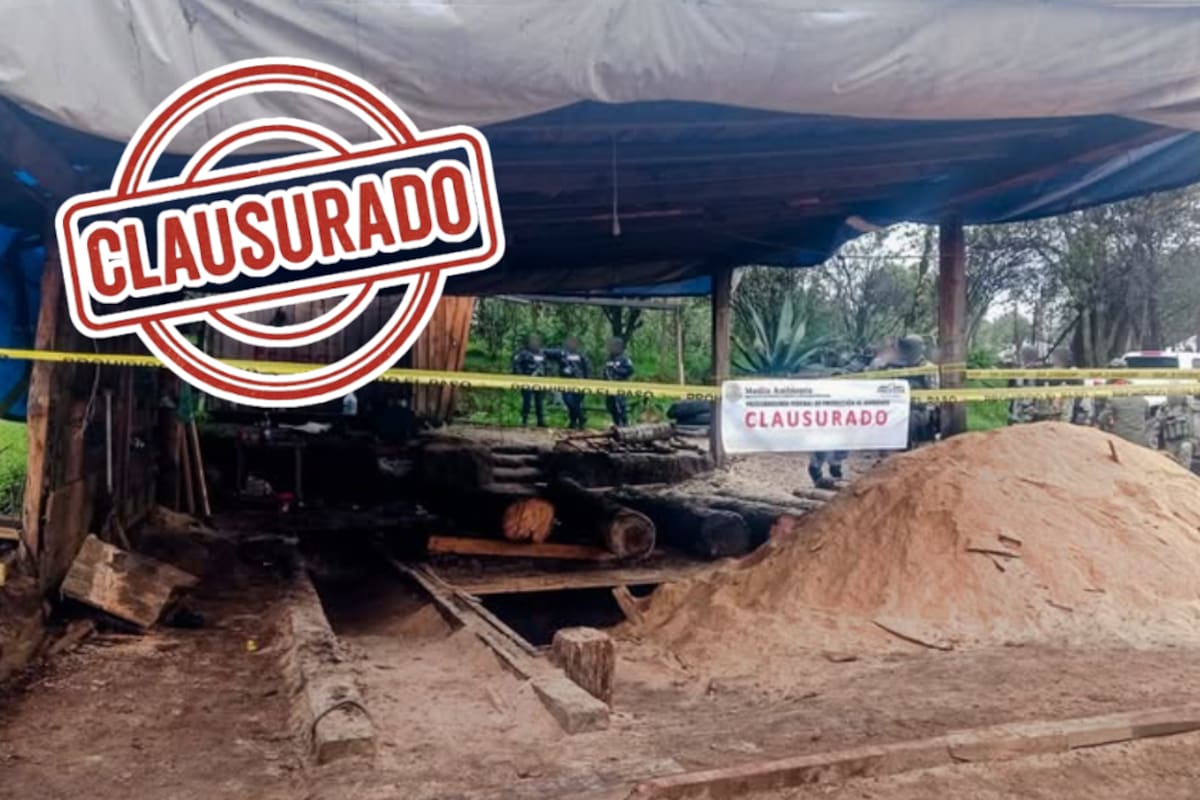 Clausuran dos aserraderos y una carpintería clandestinos en Xalatlaco: almacenaban madera de tala ilegal