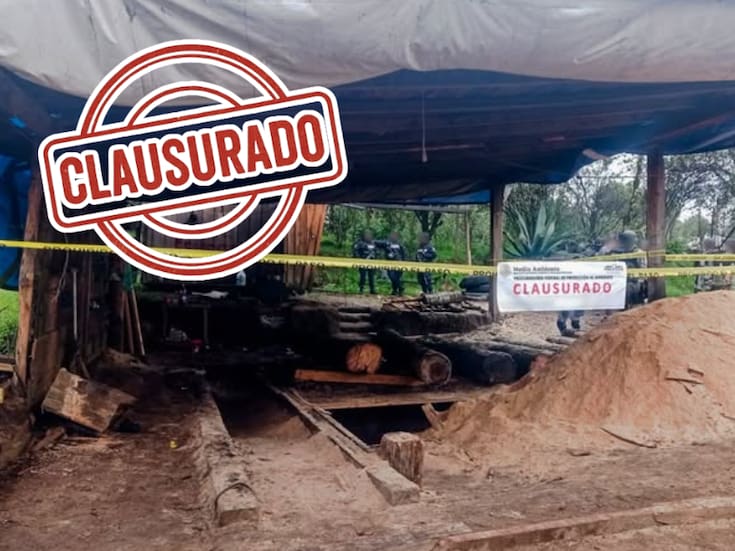 Clausuran dos aserraderos y una carpintería clandestinos en Xalatlaco: almacenaban madera de tala ilegal