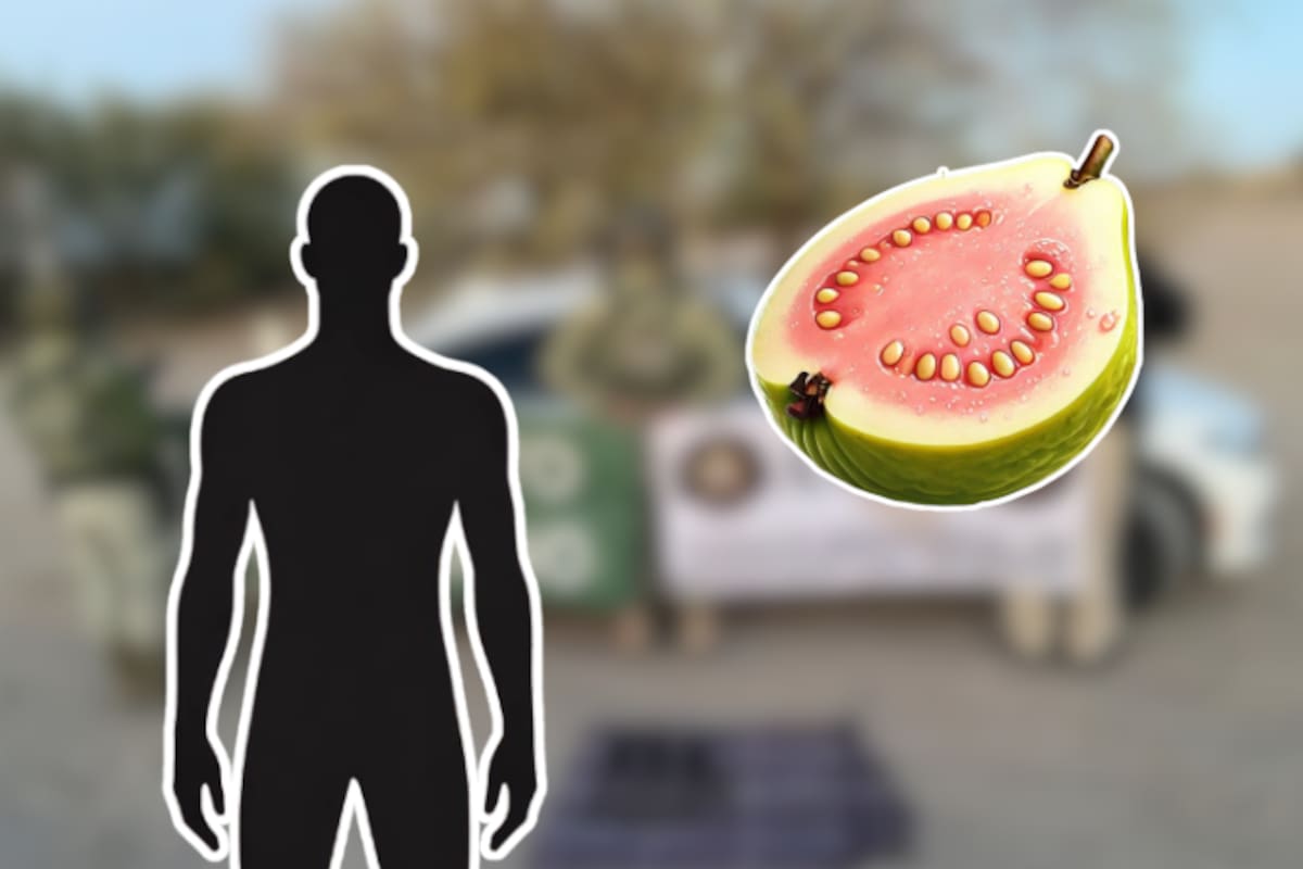 Detienen a “El Guayabo” en operativo conjunto en Cajeme; lo vinculan con narcotráfico