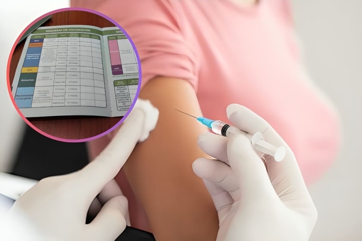 Cómo recuperar la Cartilla Nacional de Vacunación en línea tras el brote de sarampión en México