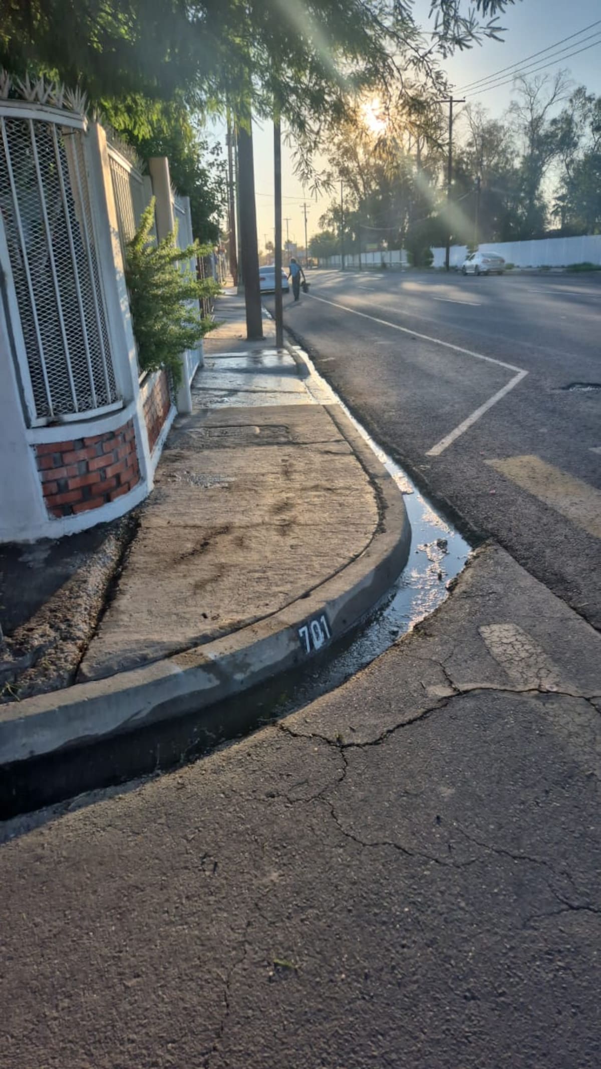 Foto: Cortesía.