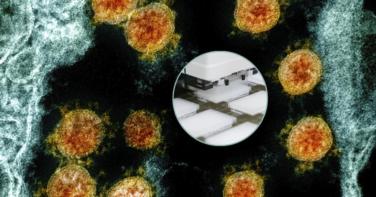 Photo: elimparcial.com AI Creates 16 Functional Viruses From Scratch to Fight Superbugs