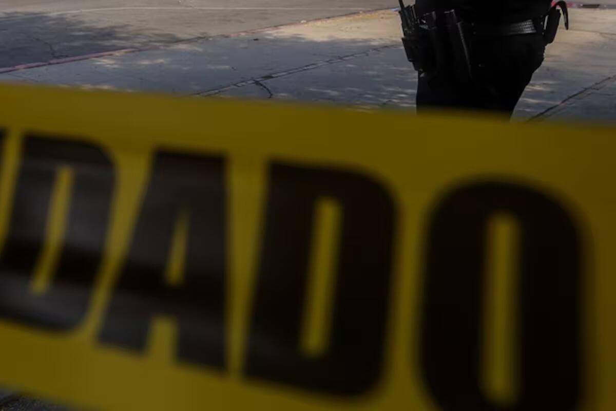 Hombre pierde la vida tras ser atropellado en la carretera federal 2