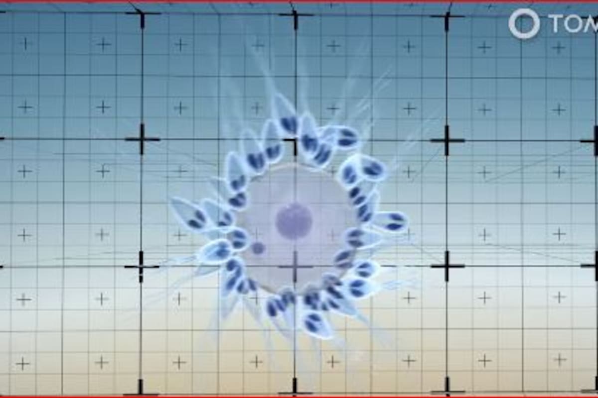 Henneguya salminicola: Descubren al primer animal que vive sin oxígeno