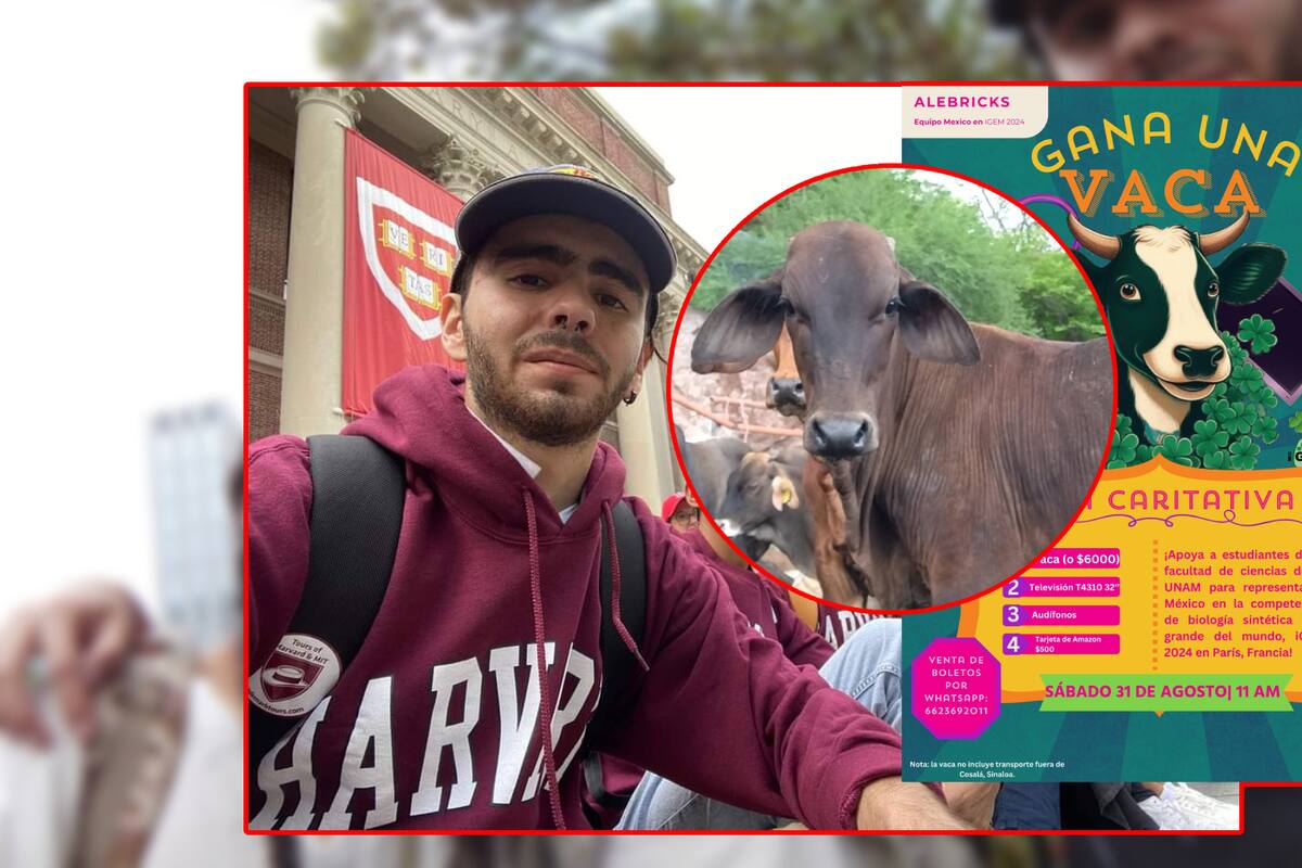 ¡Rifan vaca! Estudiantes buscan apoyo para costear viaje a un concurso internacional