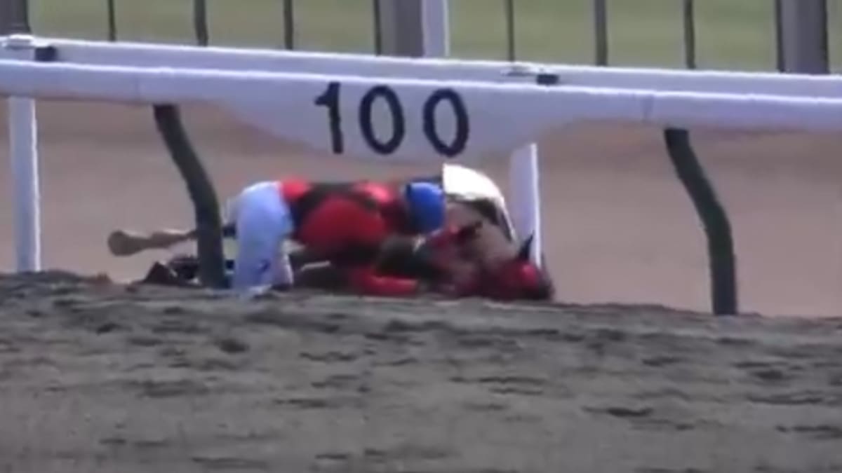 El caballo que se negó a rendirse: conmueve al mundo tras levantarse luego de colapsar en plena carrera