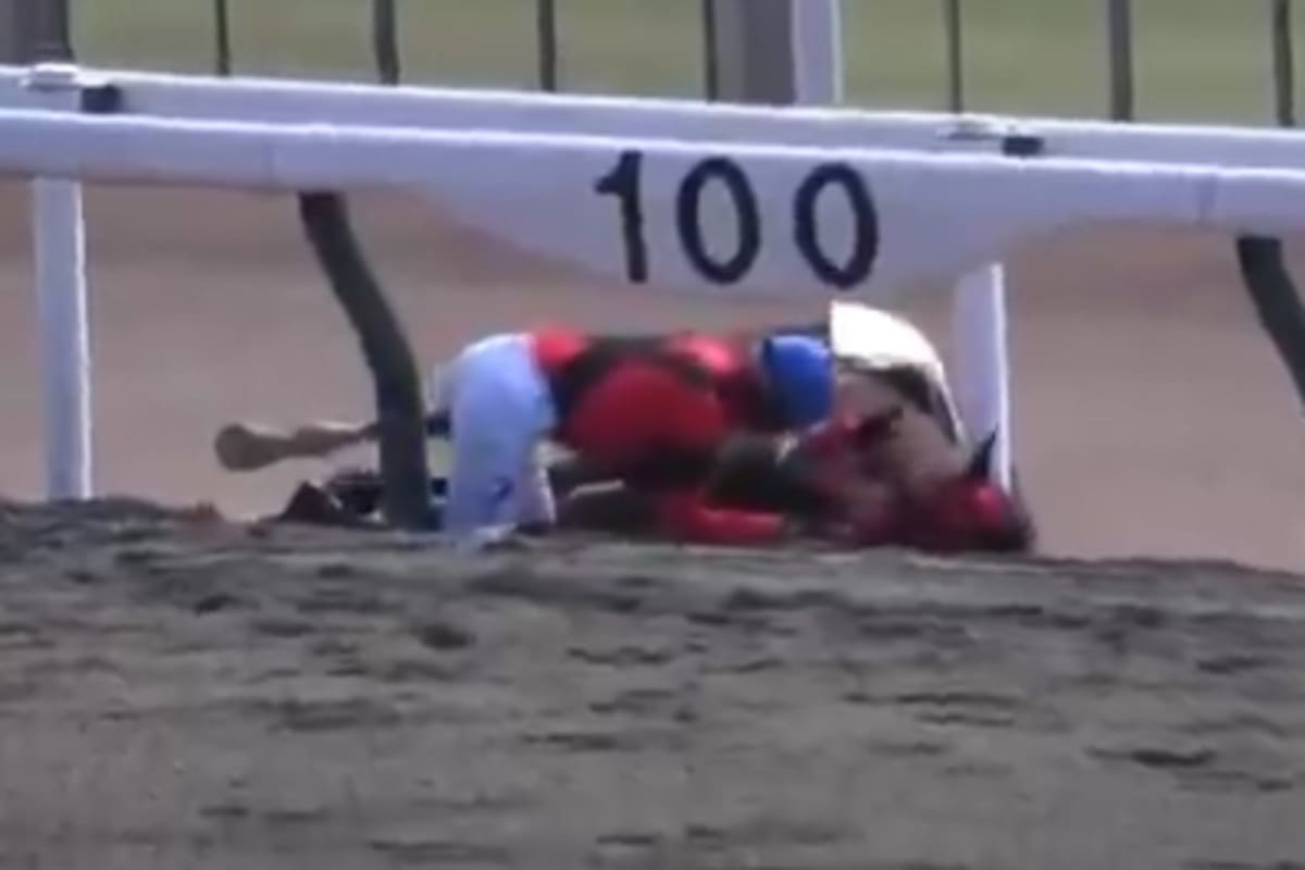 El caballo que se negó a rendirse: conmueve al mundo tras levantarse luego de colapsar en plena carrera