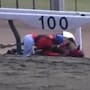 El caballo que se negó a rendirse: conmueve al mundo tras levantarse luego de colapsar en plena carrera