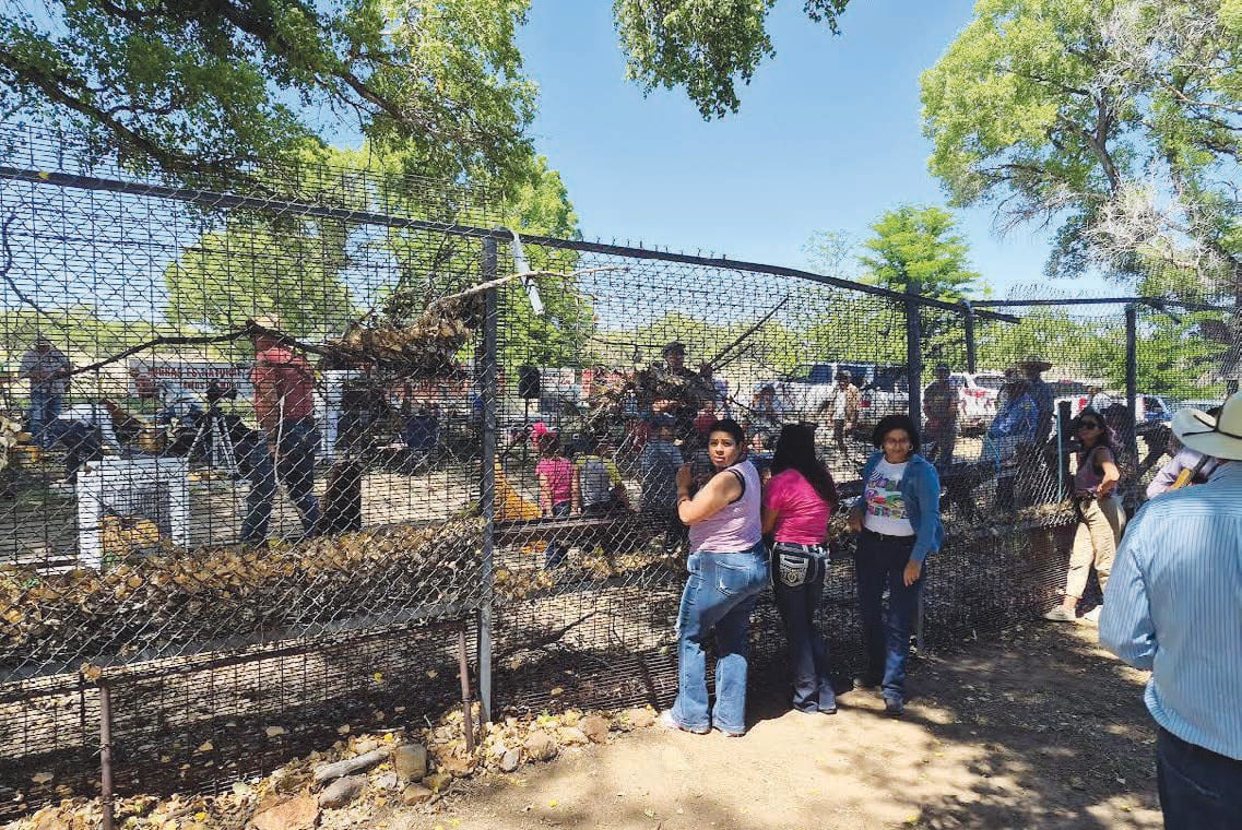 La construcción del muro fronterizo amenaza con acabar con la amistad y buenas relaciones de muchos años entre los rancheros de Santa Cruz y Arizona. FOTO MANUEL JIMÉNEZ