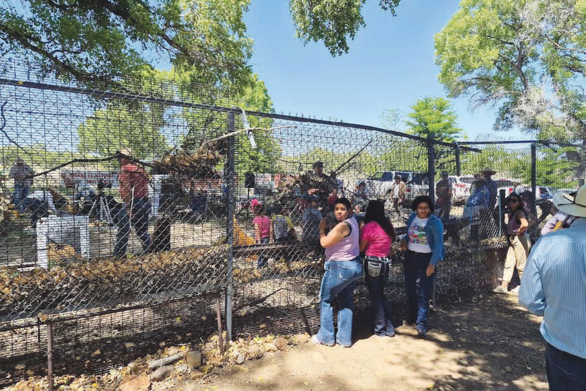 La construcción del muro fronterizo amenaza con acabar con la amistad y buenas relaciones de muchos años entre los rancheros de Santa Cruz y Arizona. FOTO MANUEL JIMÉNEZ