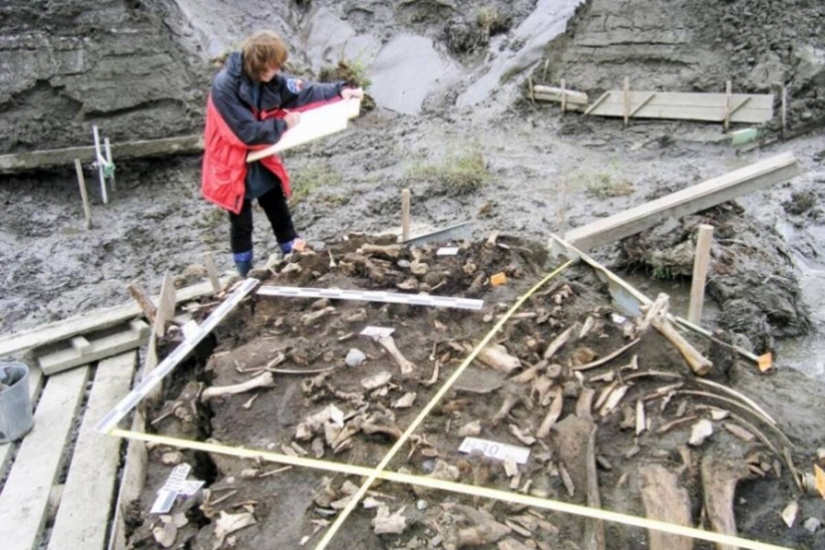 Descubren nuevo grupo humano que vivió en la Edad de Hielo