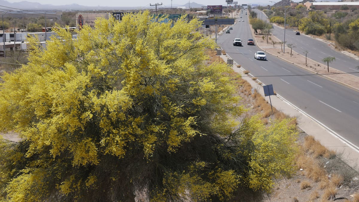 Masa de aire frío pondrá “freno” al calor en Hermosillo y podría generar lluvias ligeras este fin de semana
