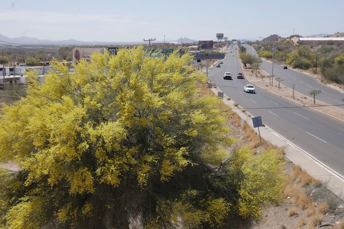 Masa de aire frío pondrá “freno” al calor en Hermosillo y podría generar lluvias ligeras este fin de semana
