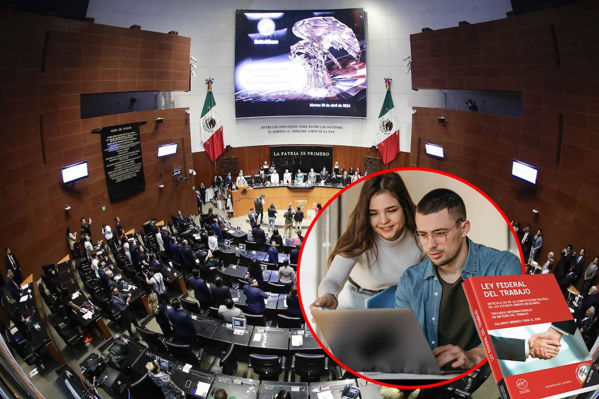 Senado propone multar hasta con 293 mil pesos a empresas que no contraten jóvenes sin experiencia en México