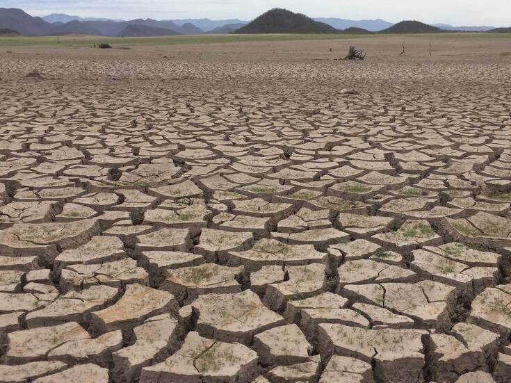 Amenaza sequía a Sonora y Norte del País; temen por producción agrícola y ganadera