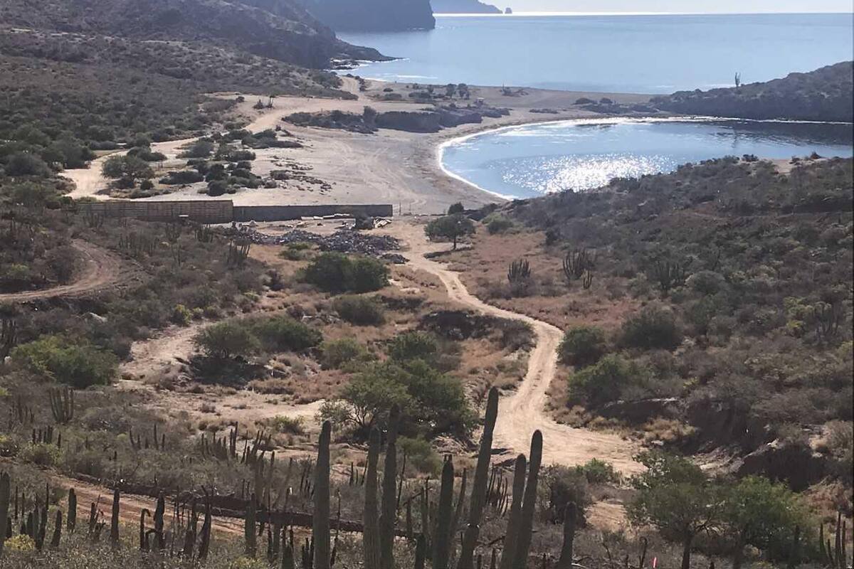 Muelles no impactarán ecosistema en playa: Ecología