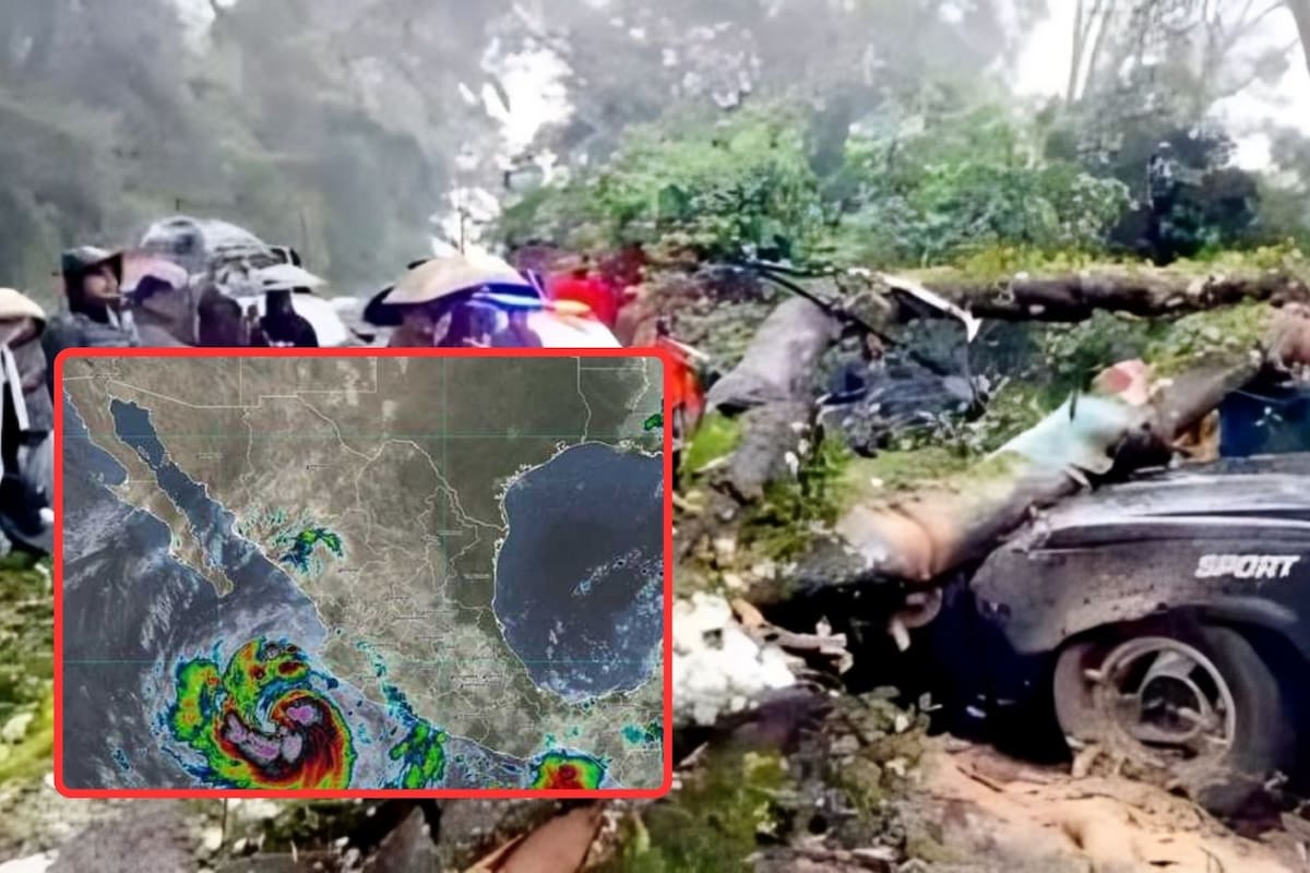 Dos muertos por caída de árbol en Hidalgo; huracán Priscilla provoca estragos en varios estados