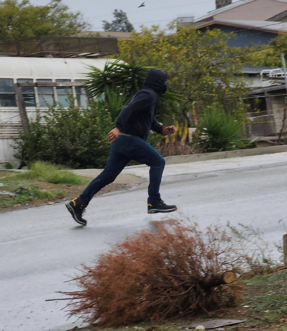 Foto: Carmen Gutiérrez