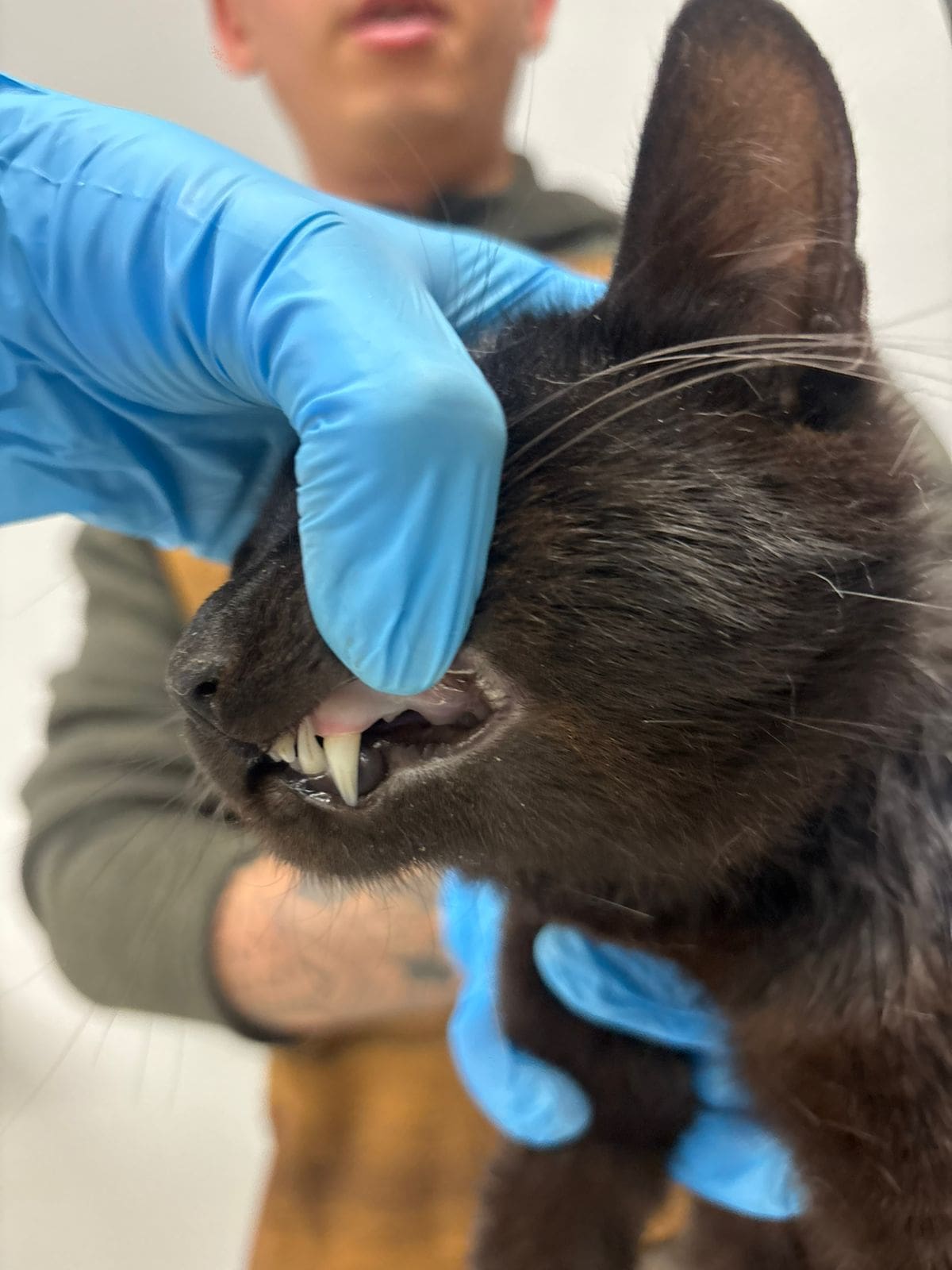 Foto: redes sociales Ismael Burgueño