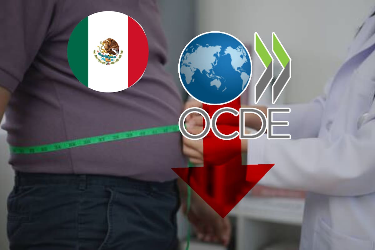 México tiene la peor esperanza de vida entre países de la OCDE por enfermedades como obesidad y diabetes; ¿Cuánto viven en promedio los mexicanos en 2025?