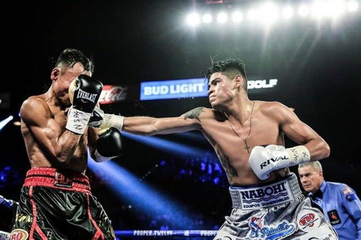 El boxeo profesional quiere regresar en el mes de junio