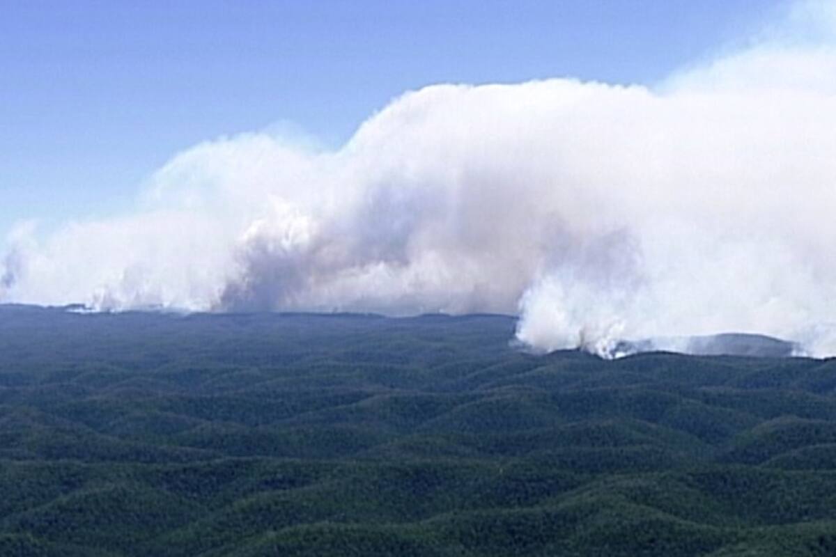 Mujer bombero embarazada defiende el seguir luchando contra incendios en Australia