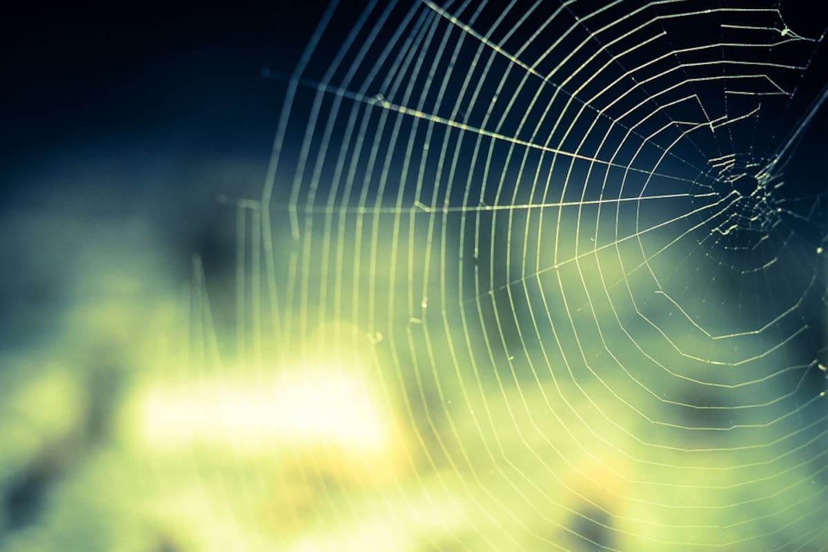 Por qué no vemos la araña en las telarañas que aparecen en los rincones de nuestro hogar