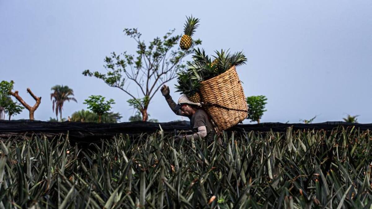 Tijuana ganó el Premio Nacional de Fotografía “México en una Imagen”