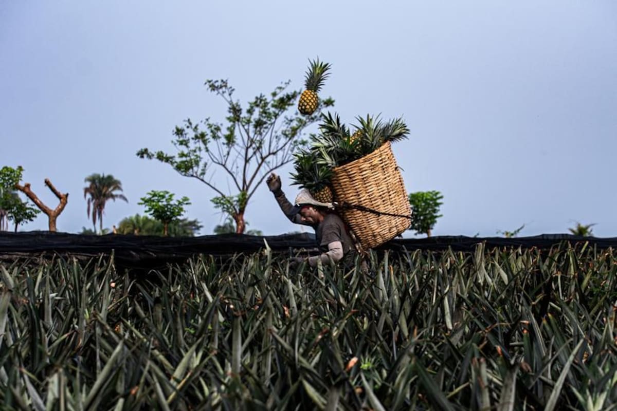 Tijuana ganó el Premio Nacional de Fotografía “México en una Imagen”