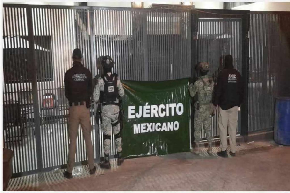 Un tigre de bengala, dinero, armas y narcóticos incautados en Nogales