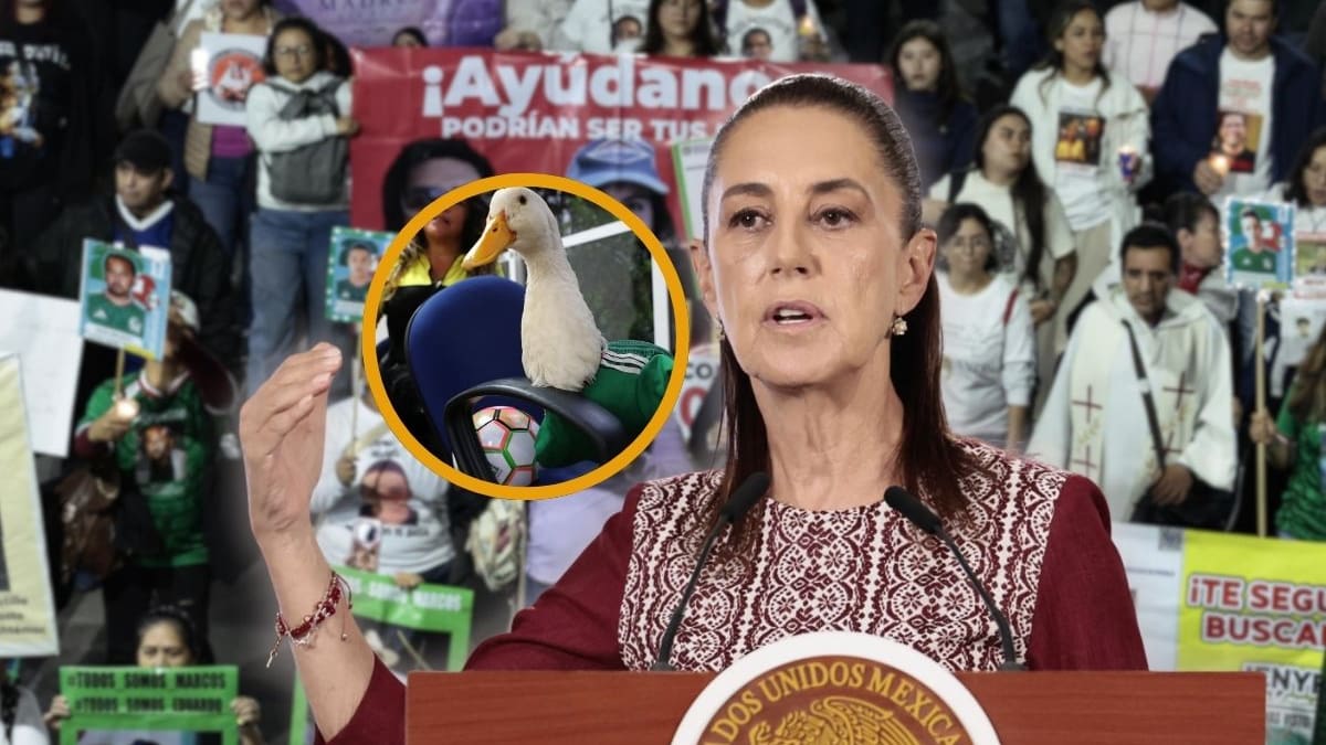 Sheinbaum responde a críticas por recibir al pato Merlín y afirma que atiende casos dolorosos de madres buscadoras sin hacerlo mediático: “No me gusta sacar una fotografía”