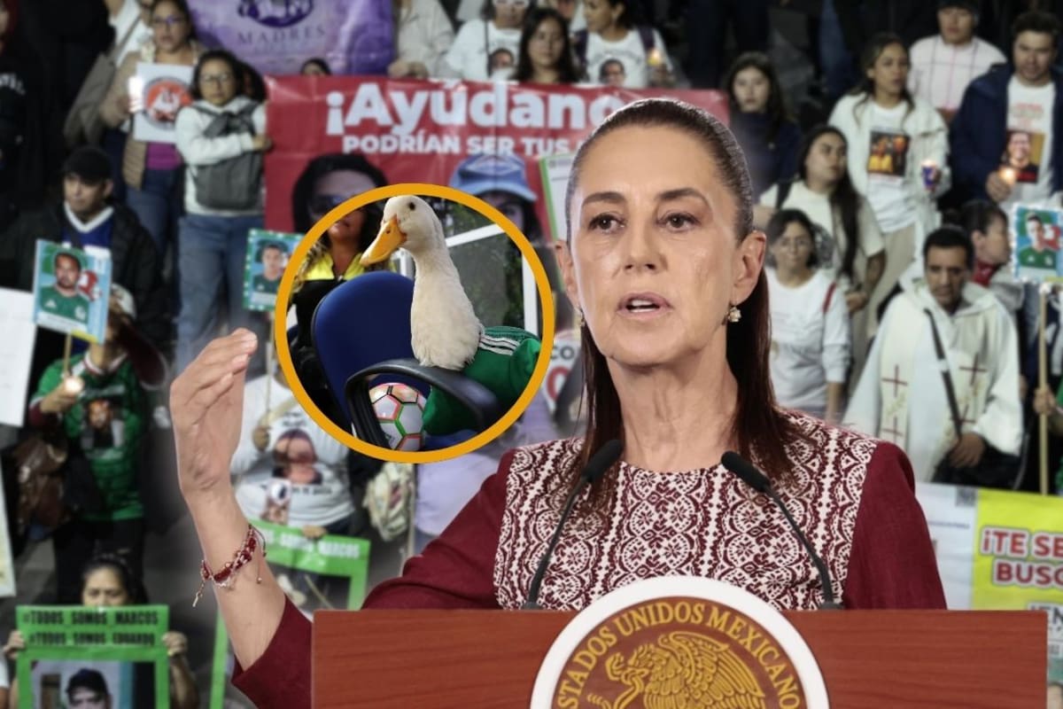 Sheinbaum responde a críticas por recibir al pato Merlín y afirma que atiende casos dolorosos de madres buscadoras sin hacerlo mediático: “No me gusta sacar una fotografía”