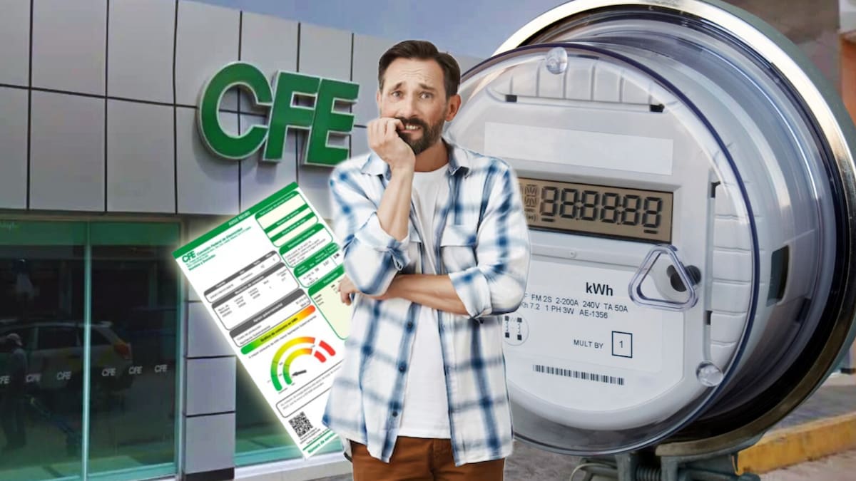 La Comisión Federal de Electricidad (CFE) s