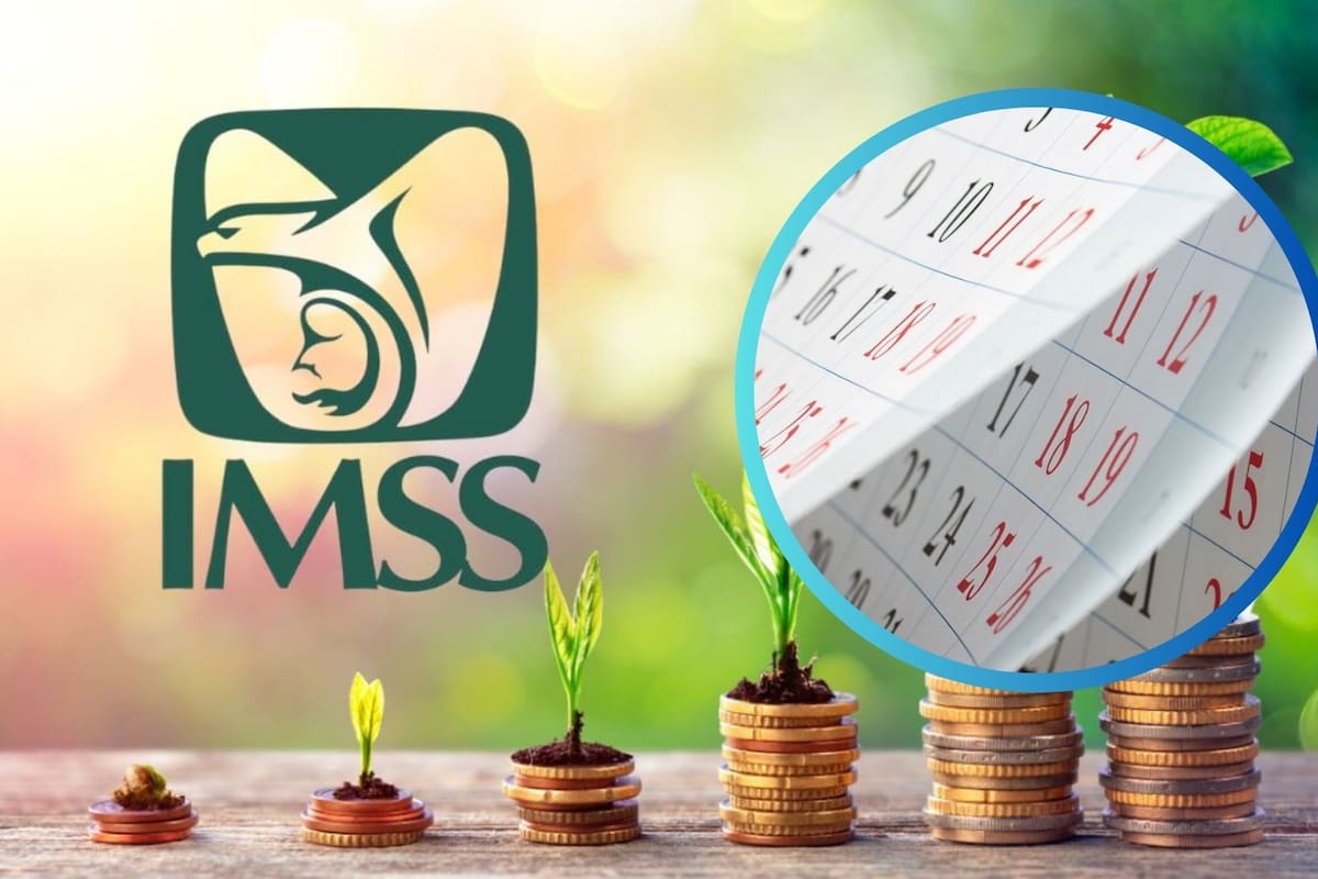 Este es el calendario de octubre para cobrar pensiones y sueldos